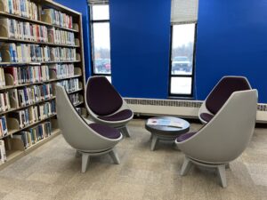 rounded, cushioned seats surround by book shelves